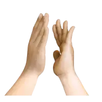 柏手
